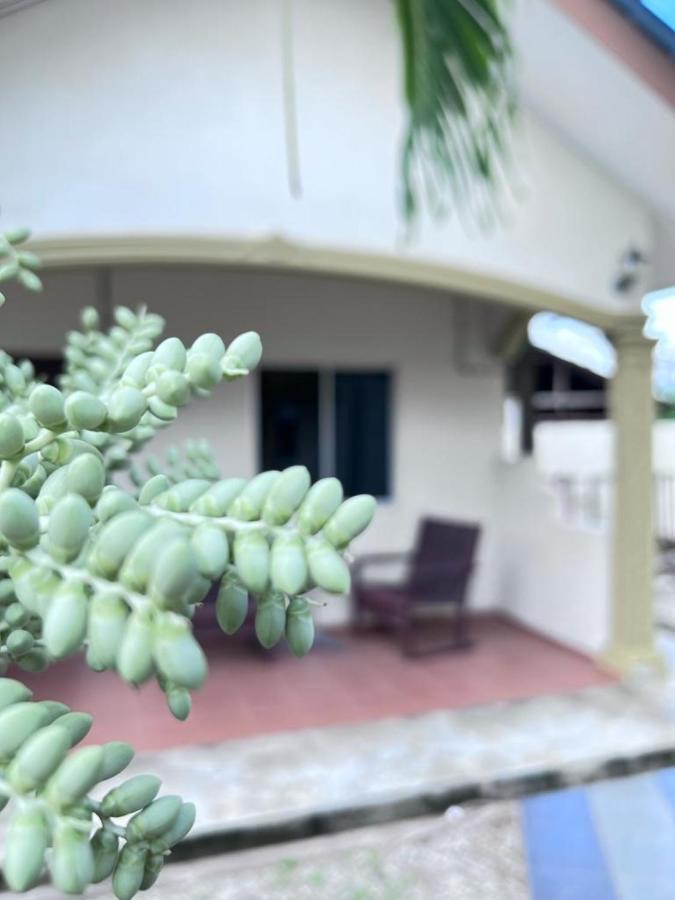 Dhania Cenang Beach Motel Pantai Cenang  Εξωτερικό φωτογραφία